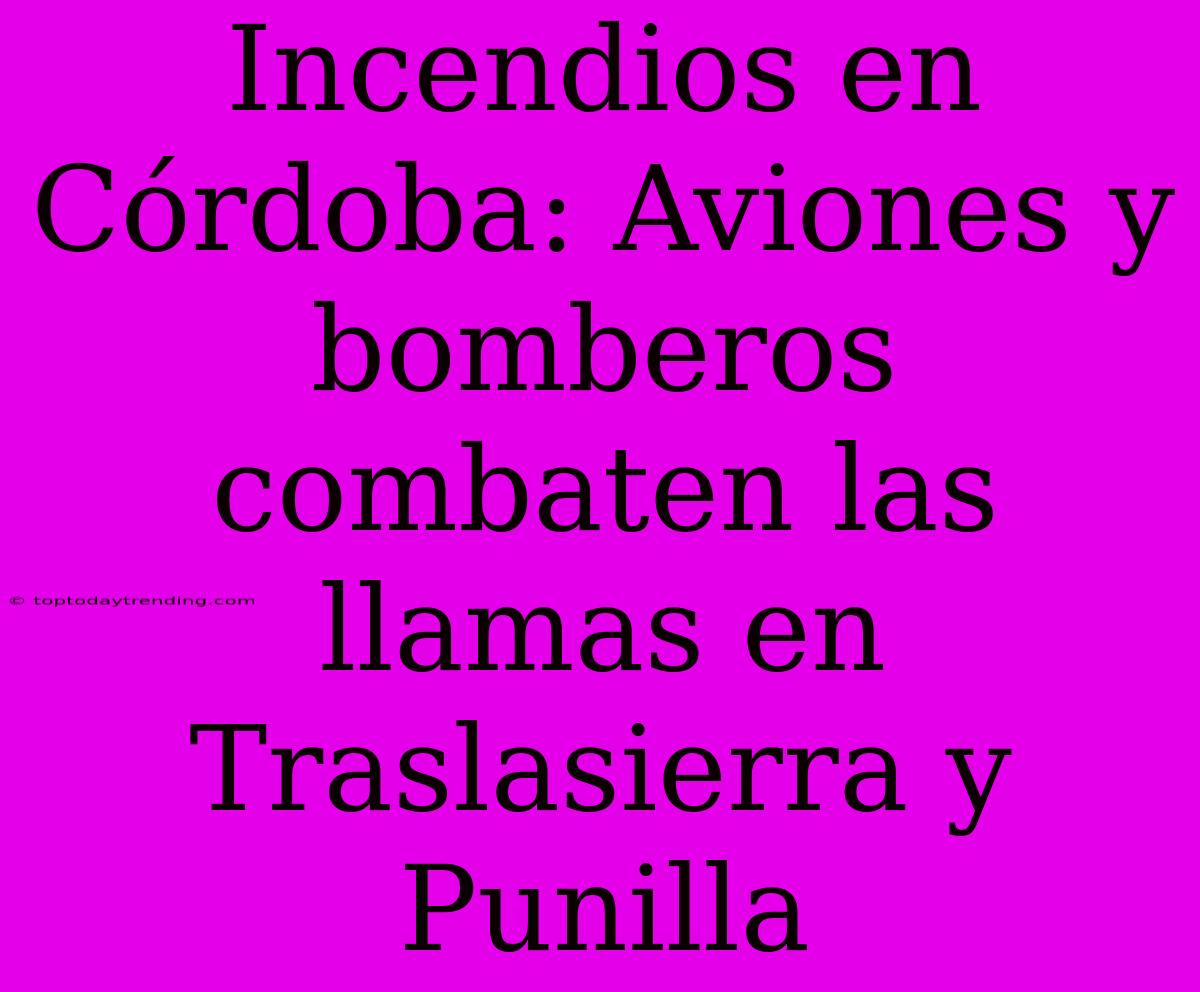 Incendios En Córdoba: Aviones Y Bomberos Combaten Las Llamas En Traslasierra Y Punilla