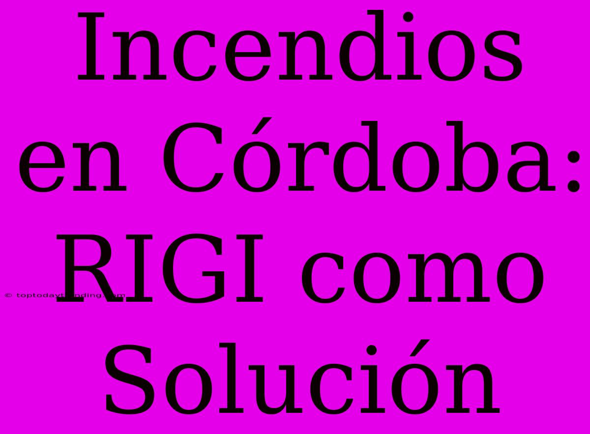 Incendios En Córdoba: RIGI Como Solución