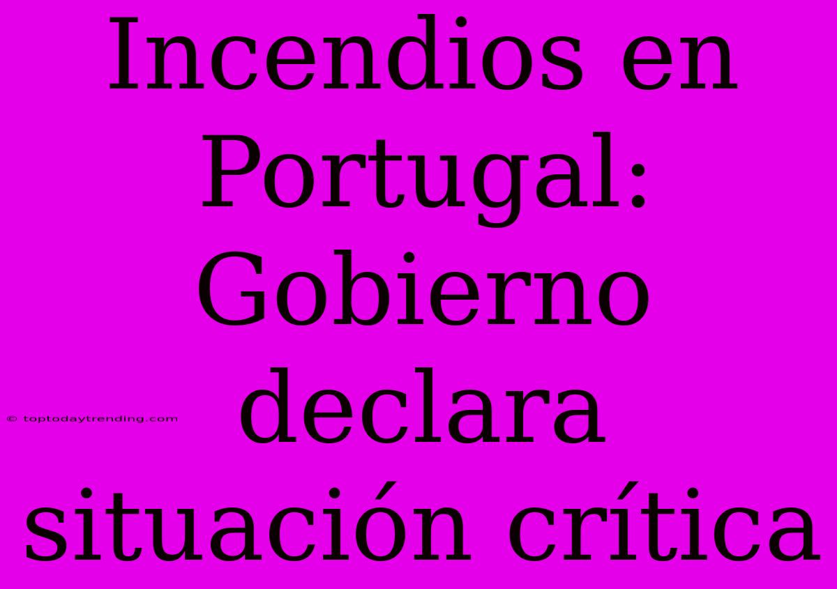 Incendios En Portugal: Gobierno Declara Situación Crítica