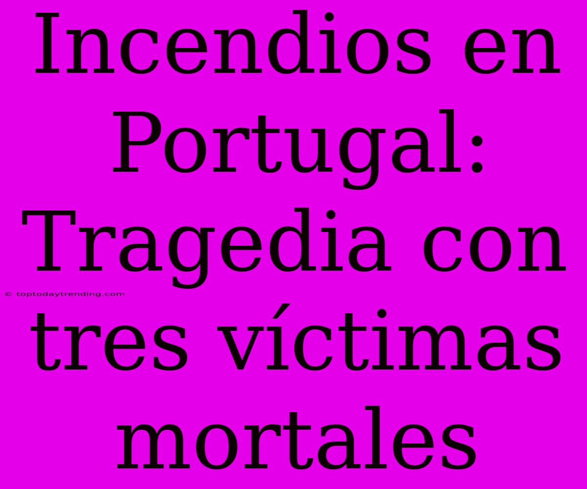 Incendios En Portugal: Tragedia Con Tres Víctimas Mortales