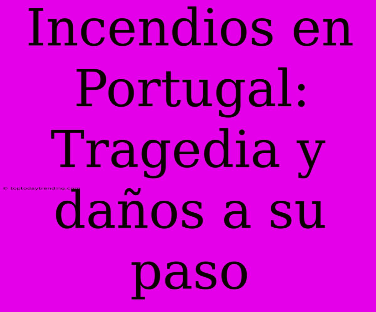 Incendios En Portugal: Tragedia Y Daños A Su Paso