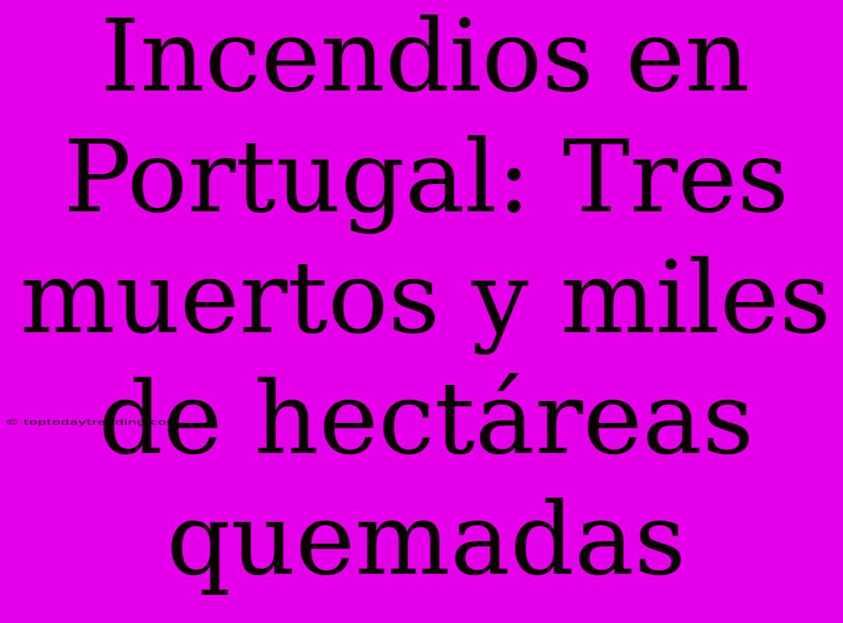 Incendios En Portugal: Tres Muertos Y Miles De Hectáreas Quemadas