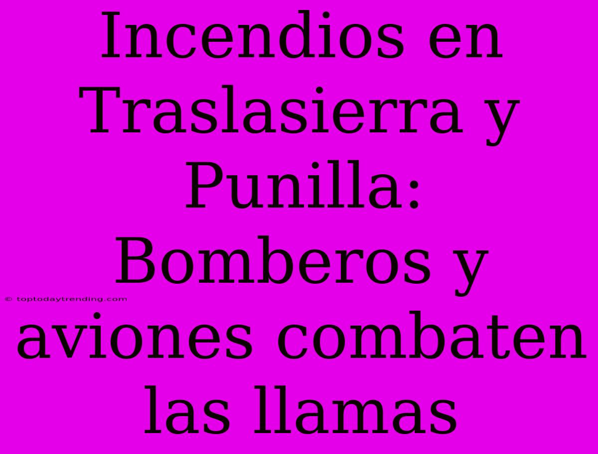 Incendios En Traslasierra Y Punilla: Bomberos Y Aviones Combaten Las Llamas