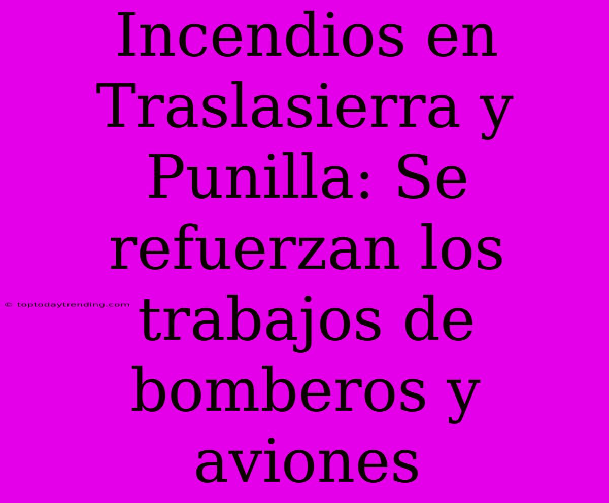 Incendios En Traslasierra Y Punilla: Se Refuerzan Los Trabajos De Bomberos Y Aviones