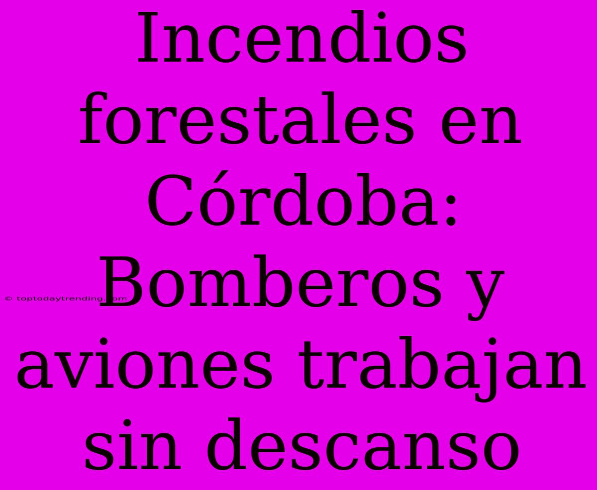 Incendios Forestales En Córdoba: Bomberos Y Aviones Trabajan Sin Descanso