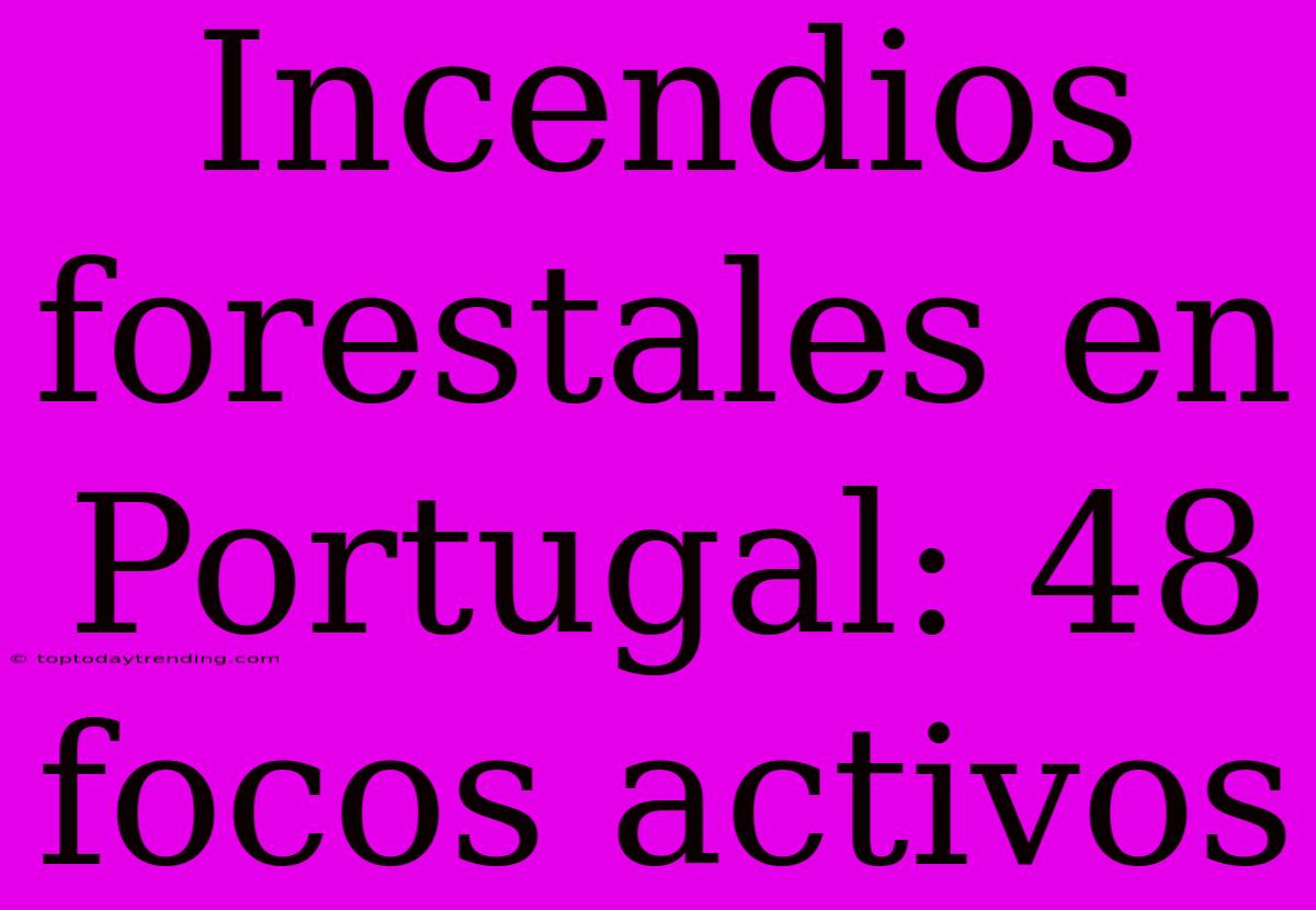 Incendios Forestales En Portugal: 48 Focos Activos