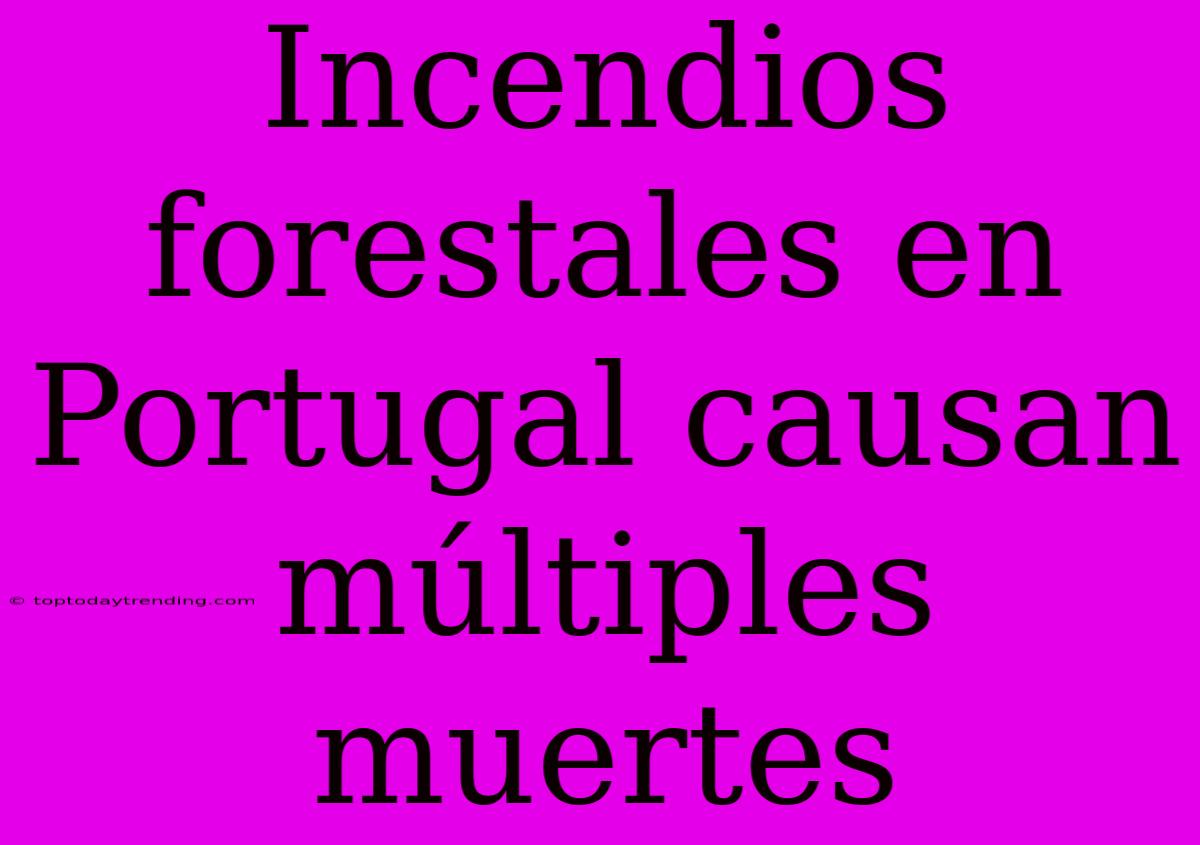 Incendios Forestales En Portugal Causan Múltiples Muertes