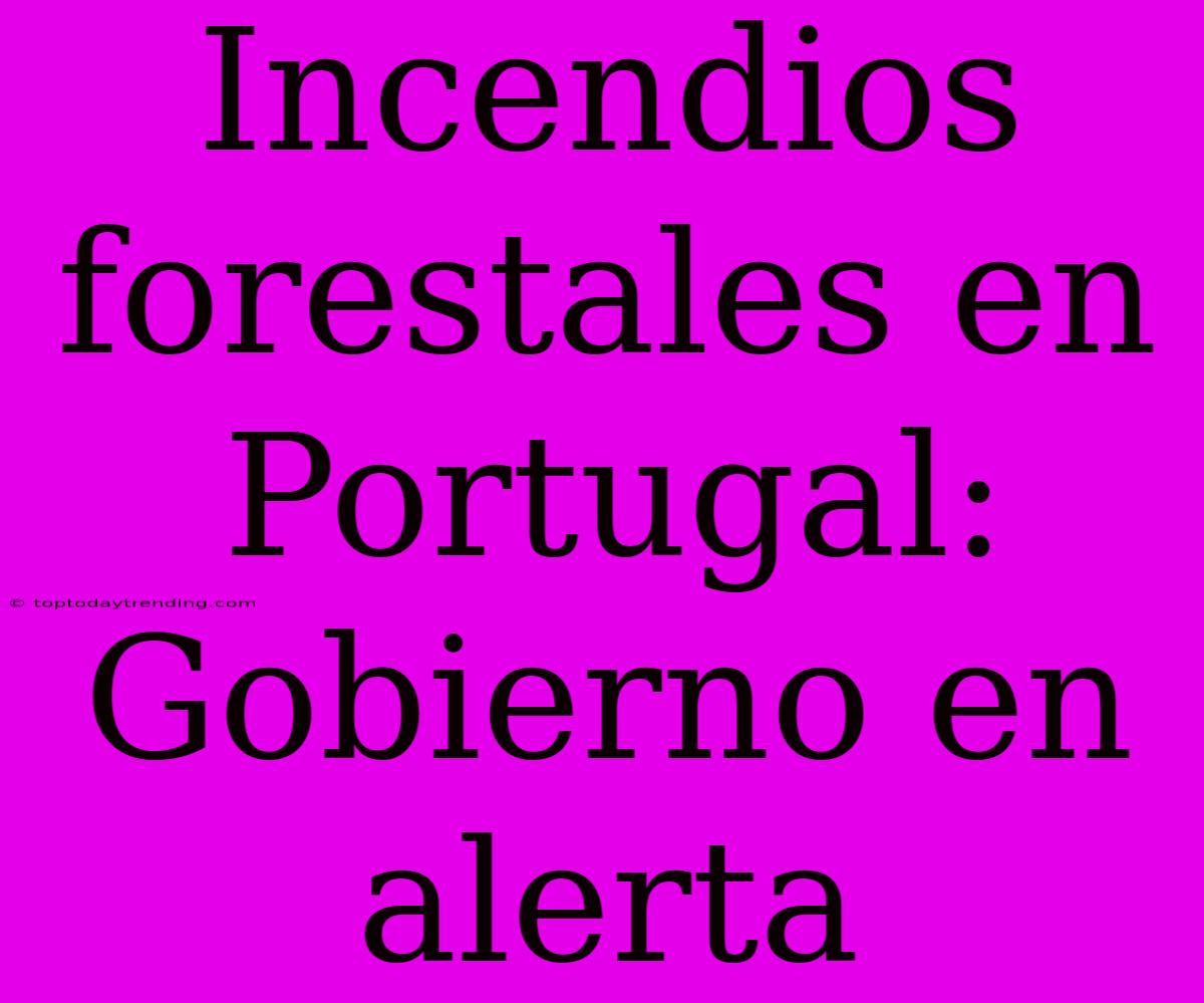 Incendios Forestales En Portugal: Gobierno En Alerta