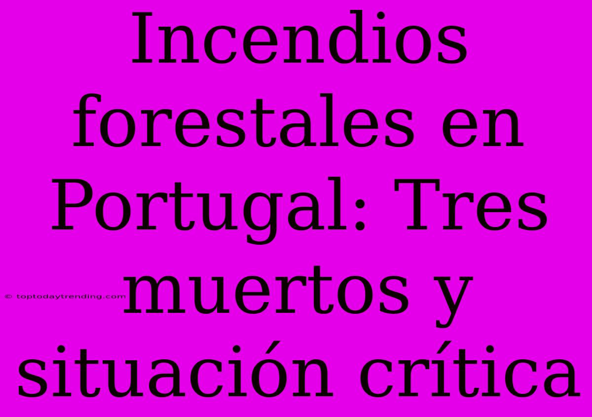 Incendios Forestales En Portugal: Tres Muertos Y Situación Crítica