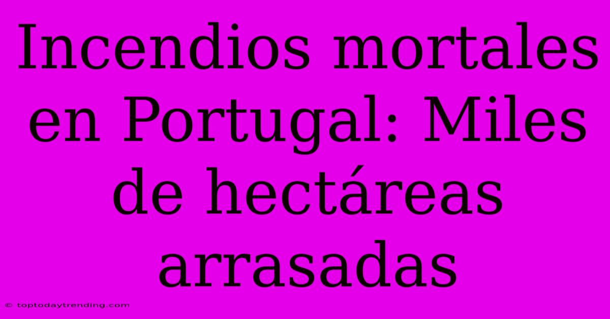 Incendios Mortales En Portugal: Miles De Hectáreas Arrasadas