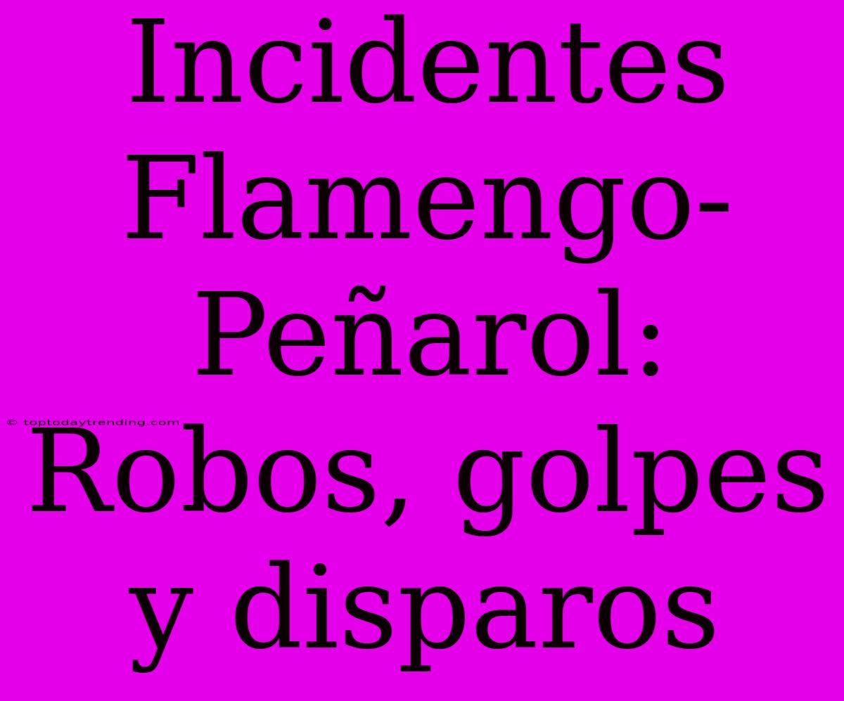 Incidentes Flamengo-Peñarol: Robos, Golpes Y Disparos