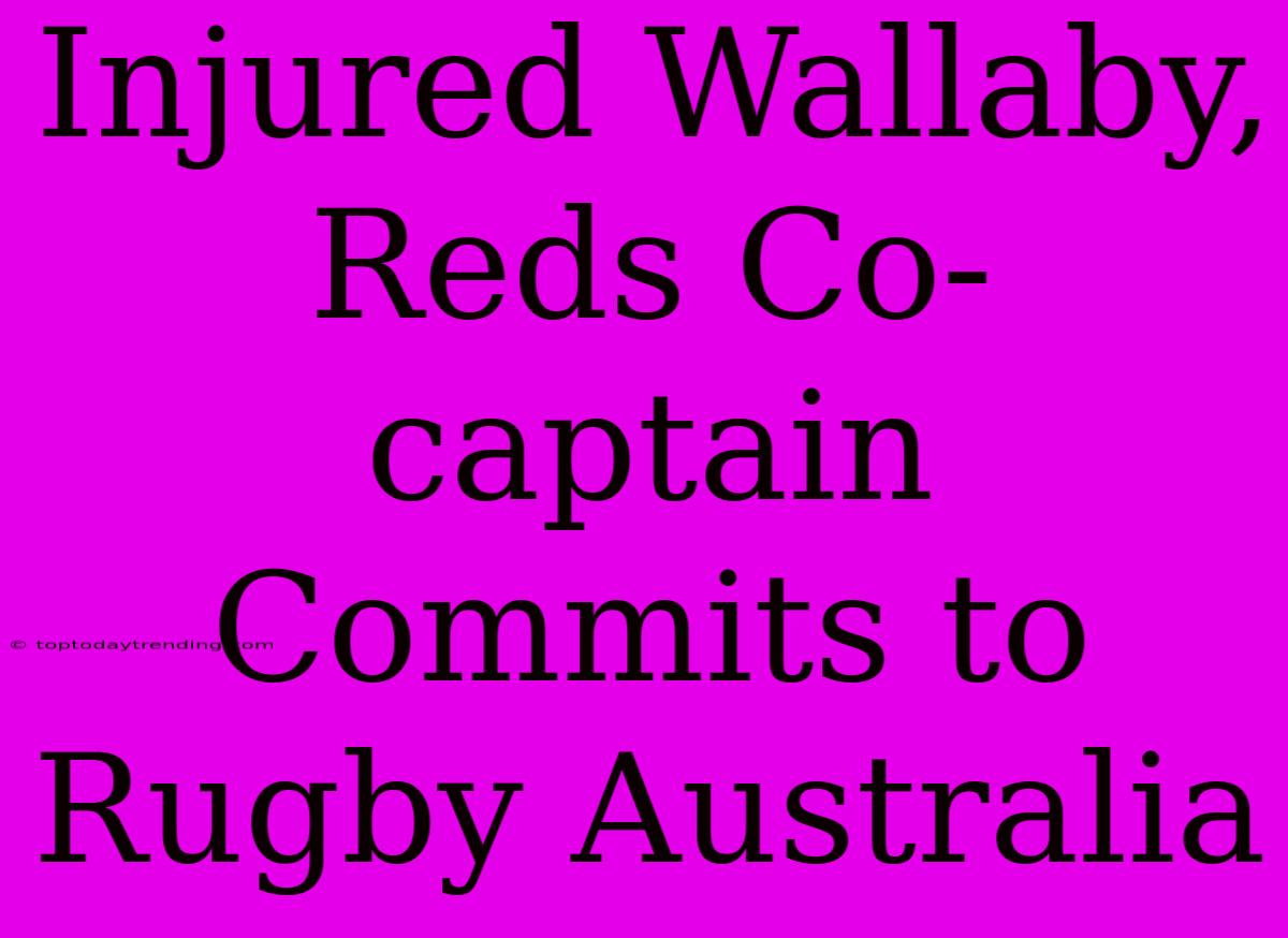 Injured Wallaby, Reds Co-captain Commits To Rugby Australia