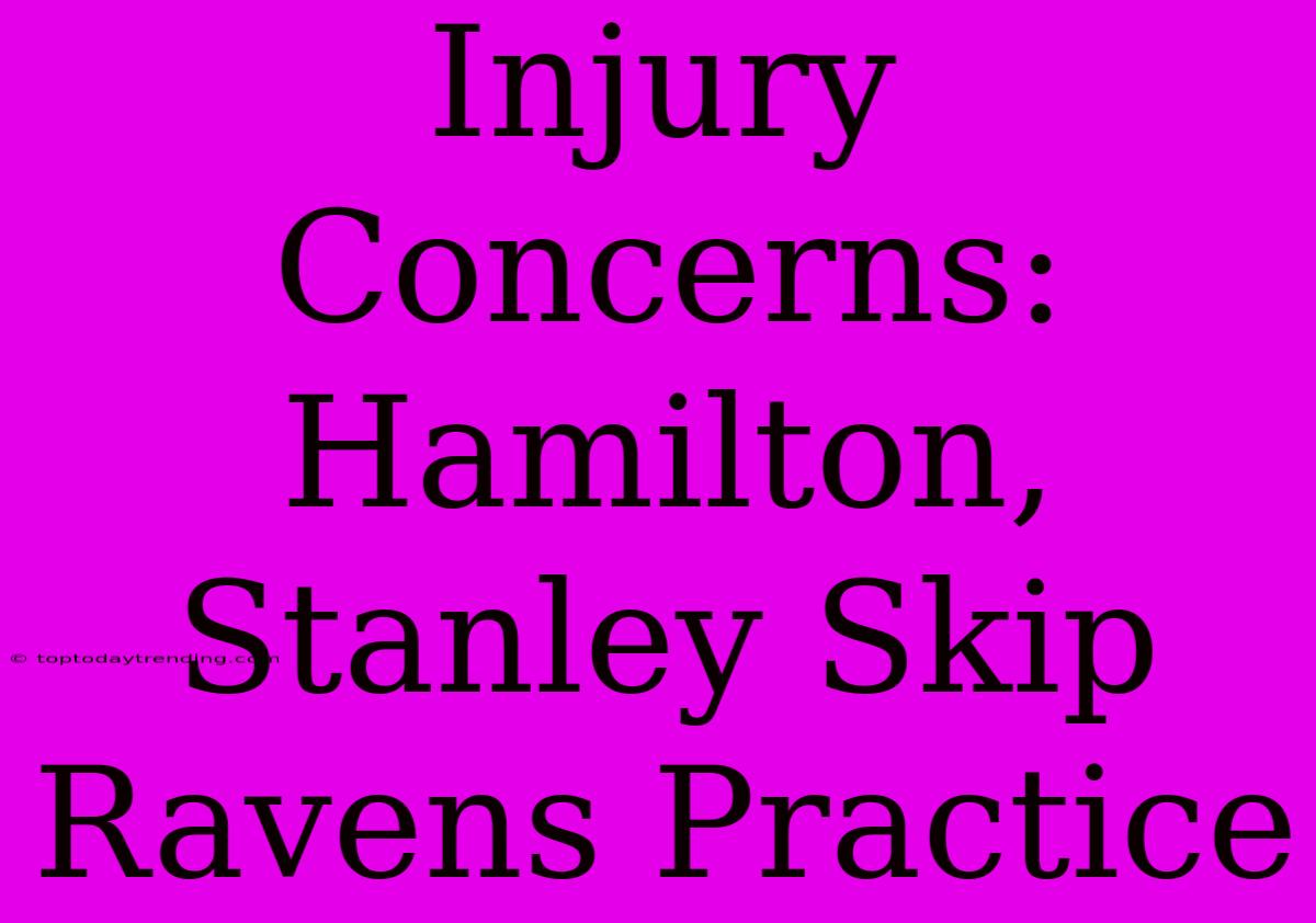 Injury Concerns: Hamilton, Stanley Skip Ravens Practice