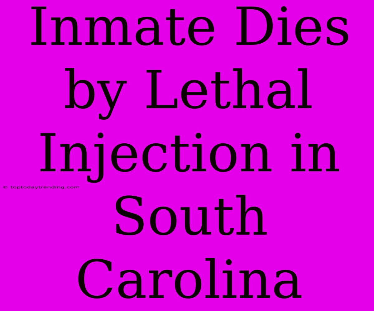 Inmate Dies By Lethal Injection In South Carolina