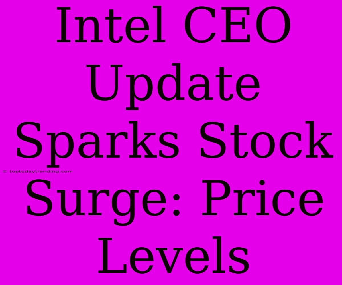 Intel CEO Update Sparks Stock Surge: Price Levels