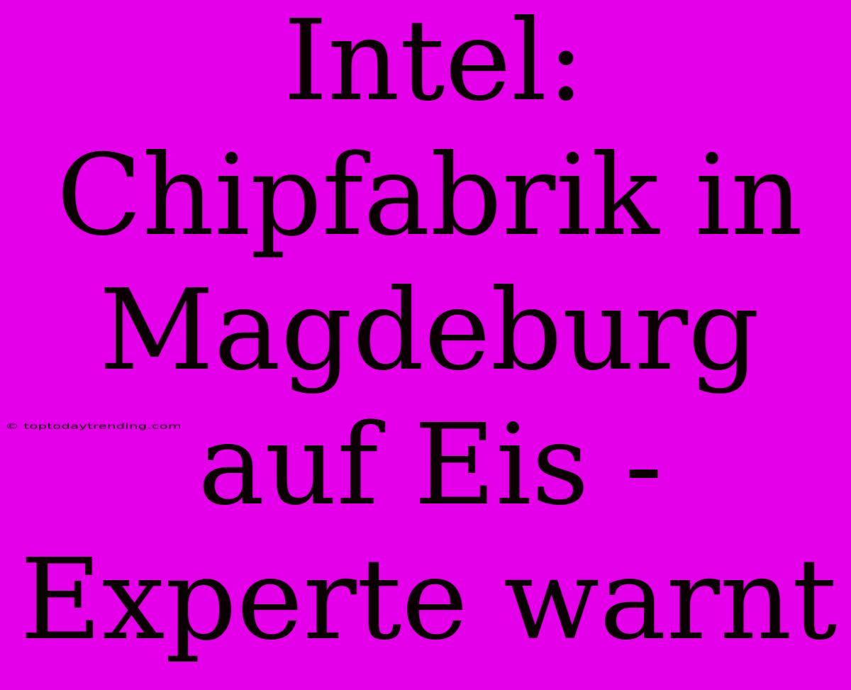 Intel: Chipfabrik In Magdeburg Auf Eis - Experte Warnt