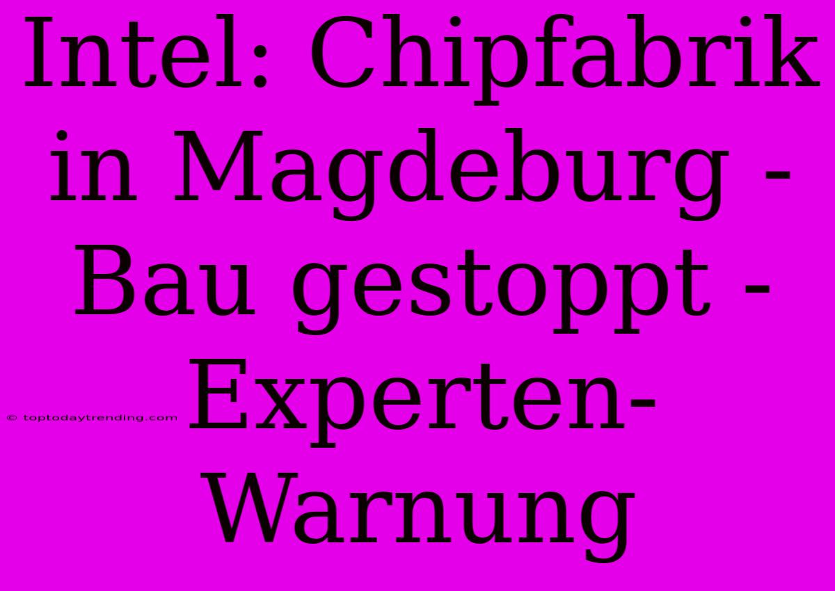 Intel: Chipfabrik In Magdeburg - Bau Gestoppt - Experten-Warnung