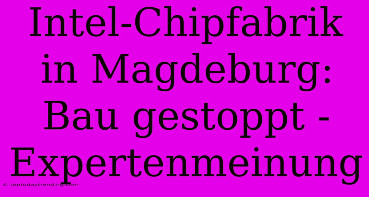 Intel-Chipfabrik In Magdeburg: Bau Gestoppt - Expertenmeinung