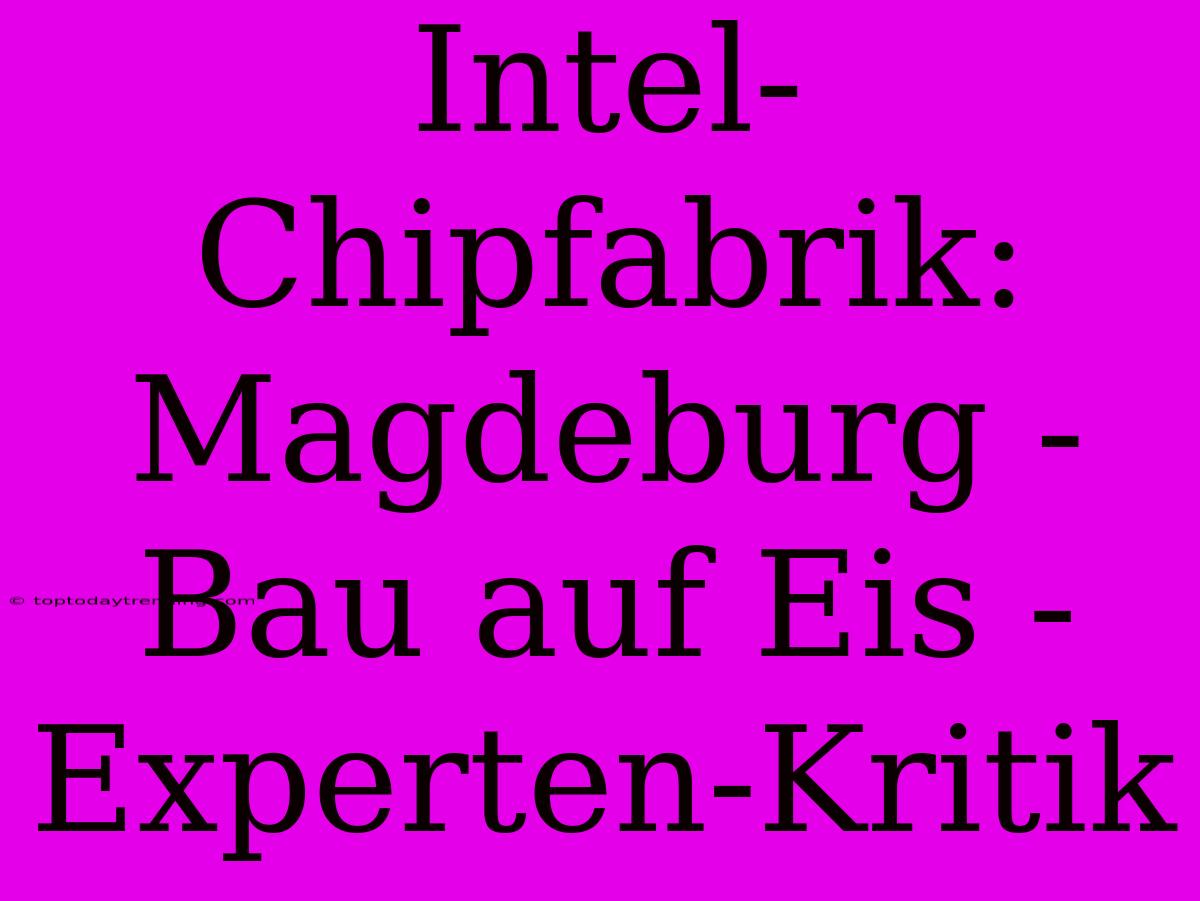 Intel-Chipfabrik: Magdeburg - Bau Auf Eis - Experten-Kritik