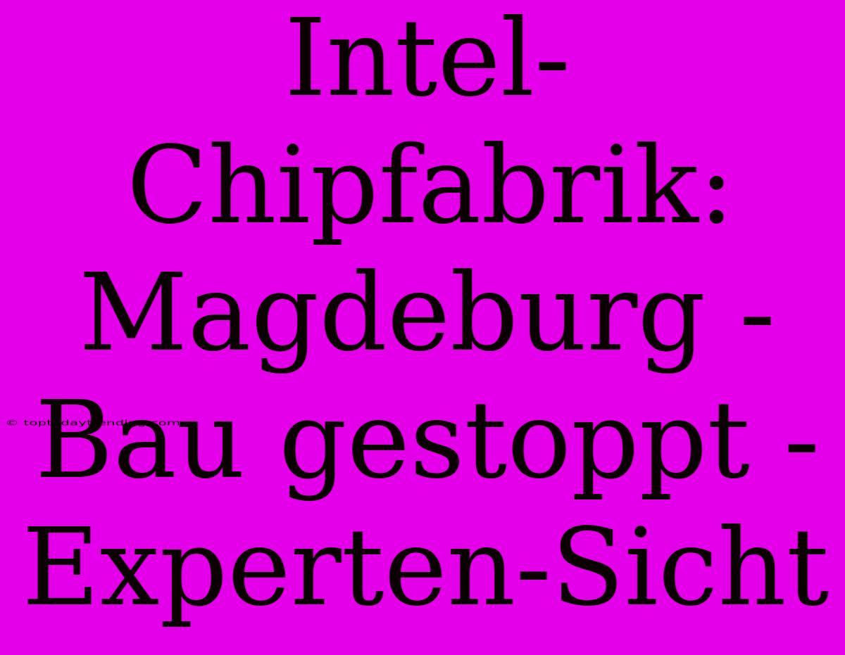 Intel-Chipfabrik: Magdeburg - Bau Gestoppt - Experten-Sicht