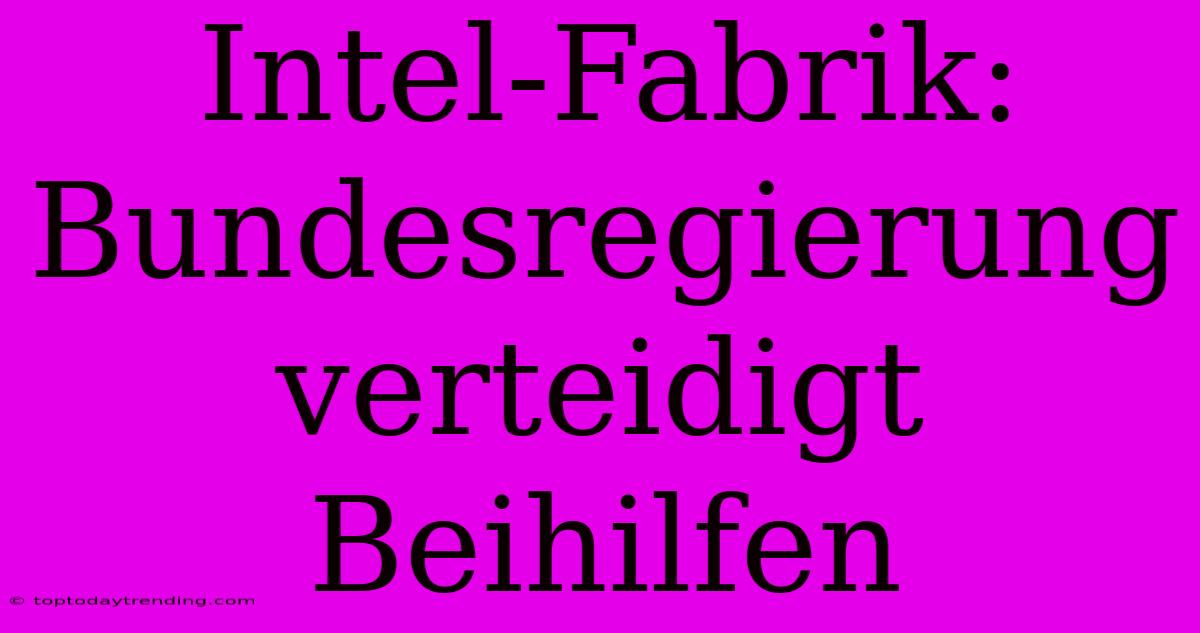 Intel-Fabrik: Bundesregierung Verteidigt Beihilfen