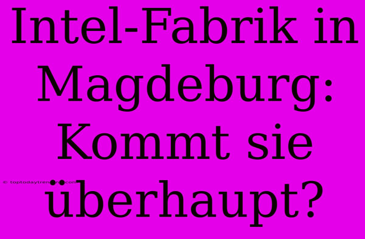 Intel-Fabrik In Magdeburg: Kommt Sie Überhaupt?