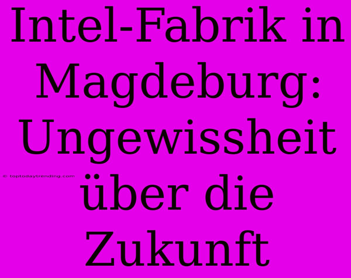 Intel-Fabrik In Magdeburg: Ungewissheit Über Die Zukunft