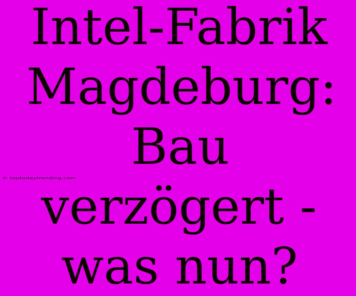 Intel-Fabrik Magdeburg: Bau Verzögert - Was Nun?