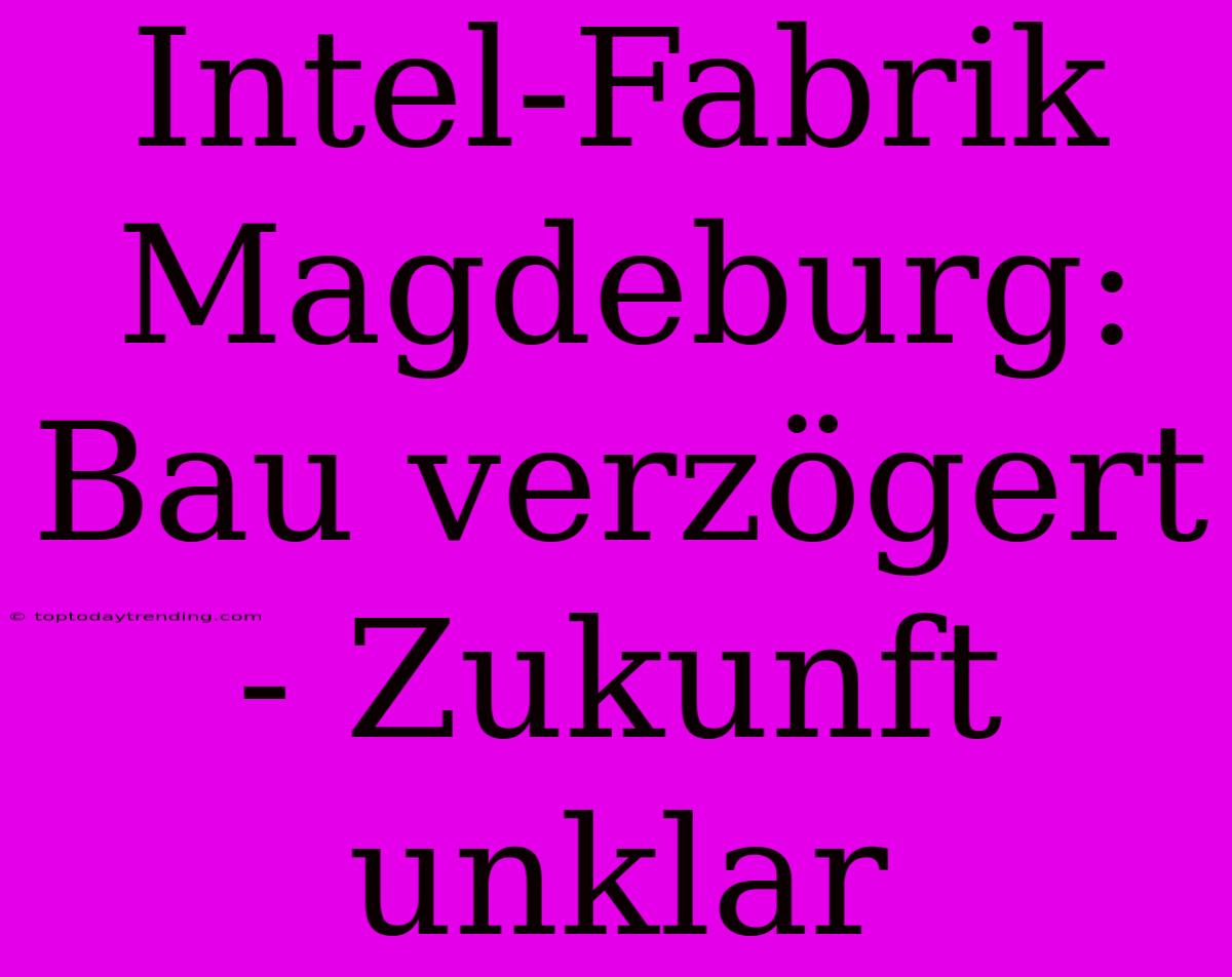 Intel-Fabrik Magdeburg: Bau Verzögert - Zukunft Unklar