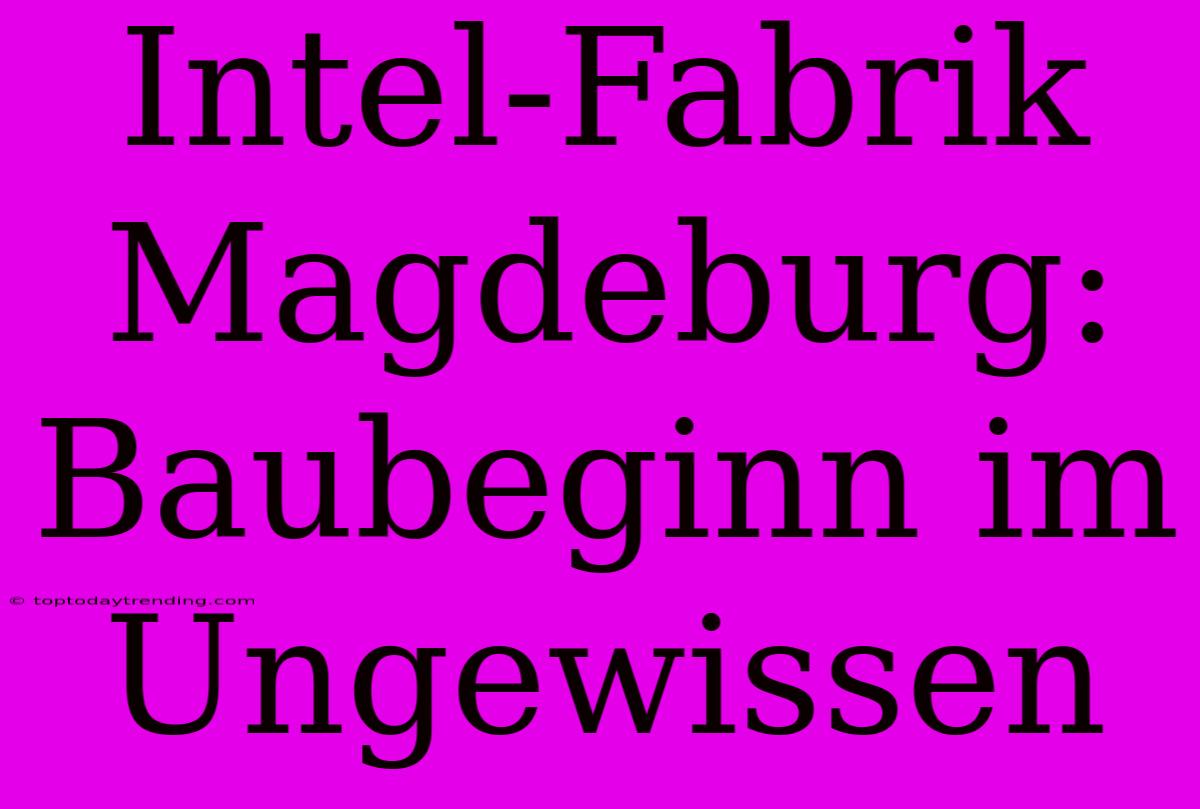 Intel-Fabrik Magdeburg: Baubeginn Im Ungewissen