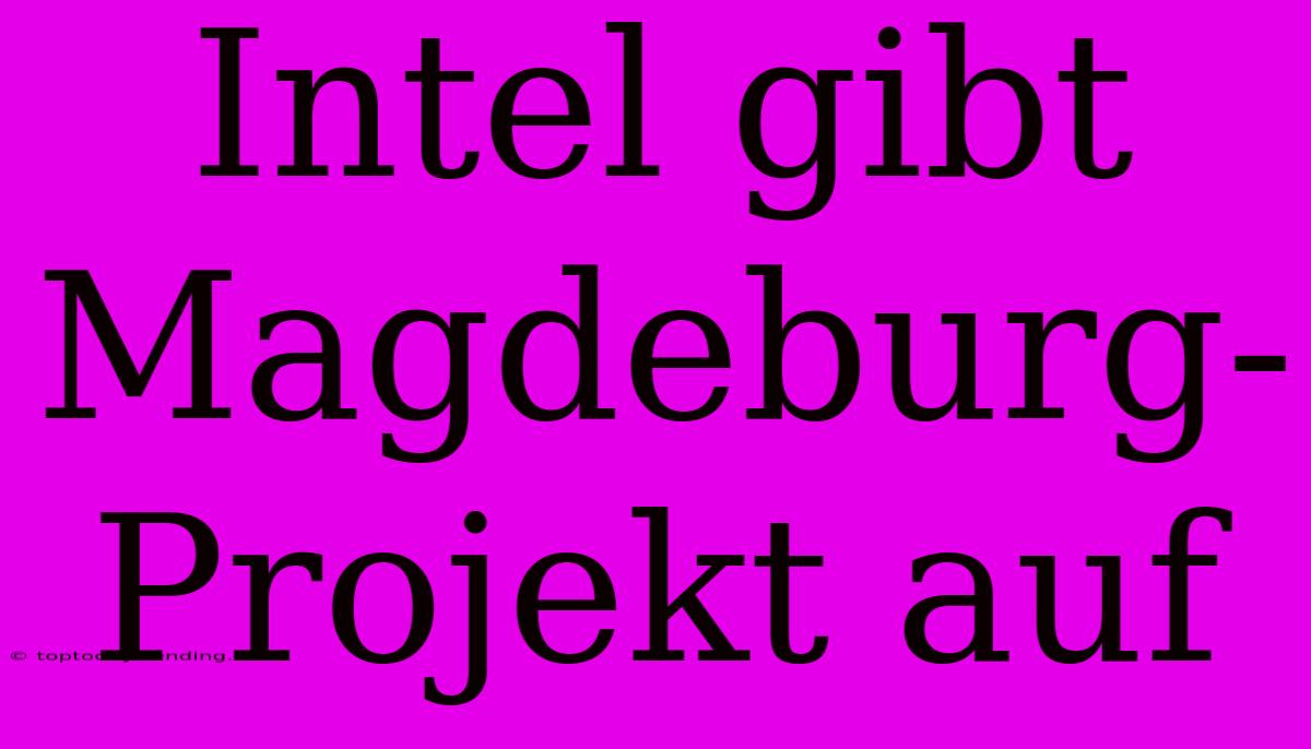 Intel Gibt Magdeburg-Projekt Auf