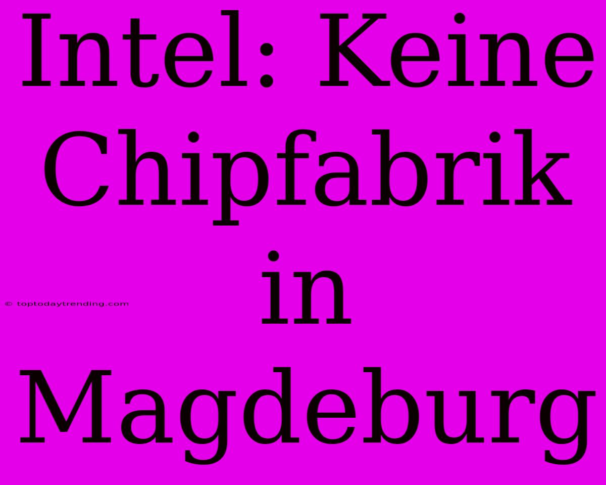 Intel: Keine Chipfabrik In Magdeburg