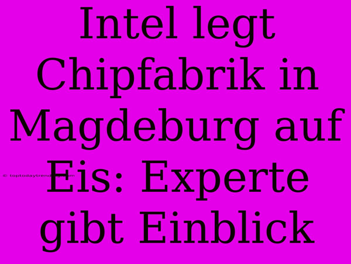 Intel Legt Chipfabrik In Magdeburg Auf Eis: Experte Gibt Einblick