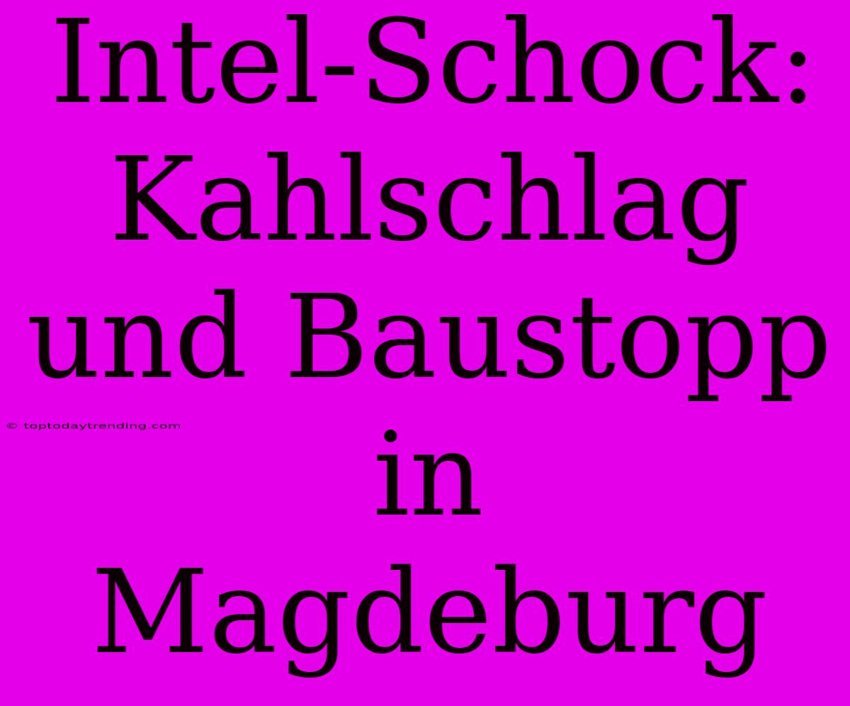 Intel-Schock: Kahlschlag Und Baustopp In Magdeburg