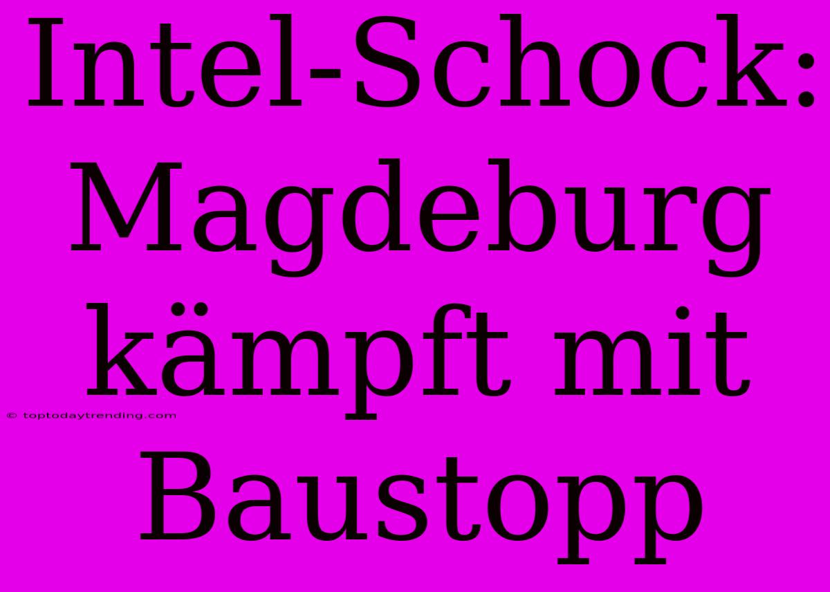 Intel-Schock: Magdeburg Kämpft Mit Baustopp