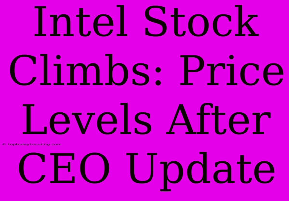 Intel Stock Climbs: Price Levels After CEO Update