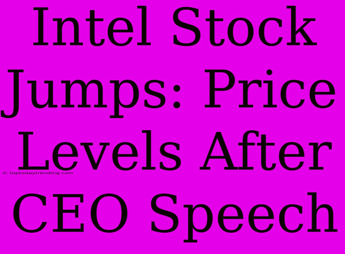 Intel Stock Jumps: Price Levels After CEO Speech