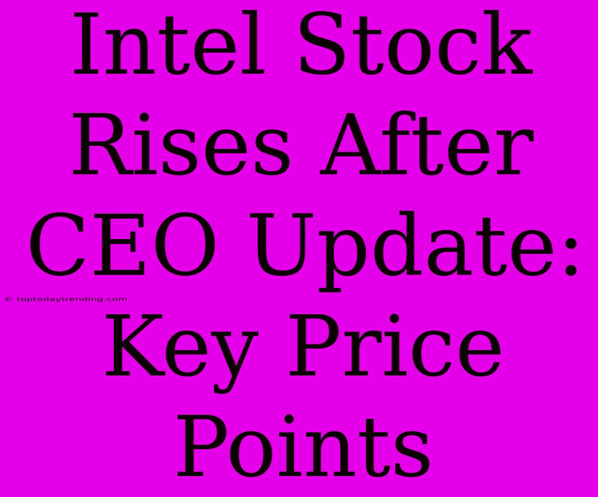 Intel Stock Rises After CEO Update: Key Price Points