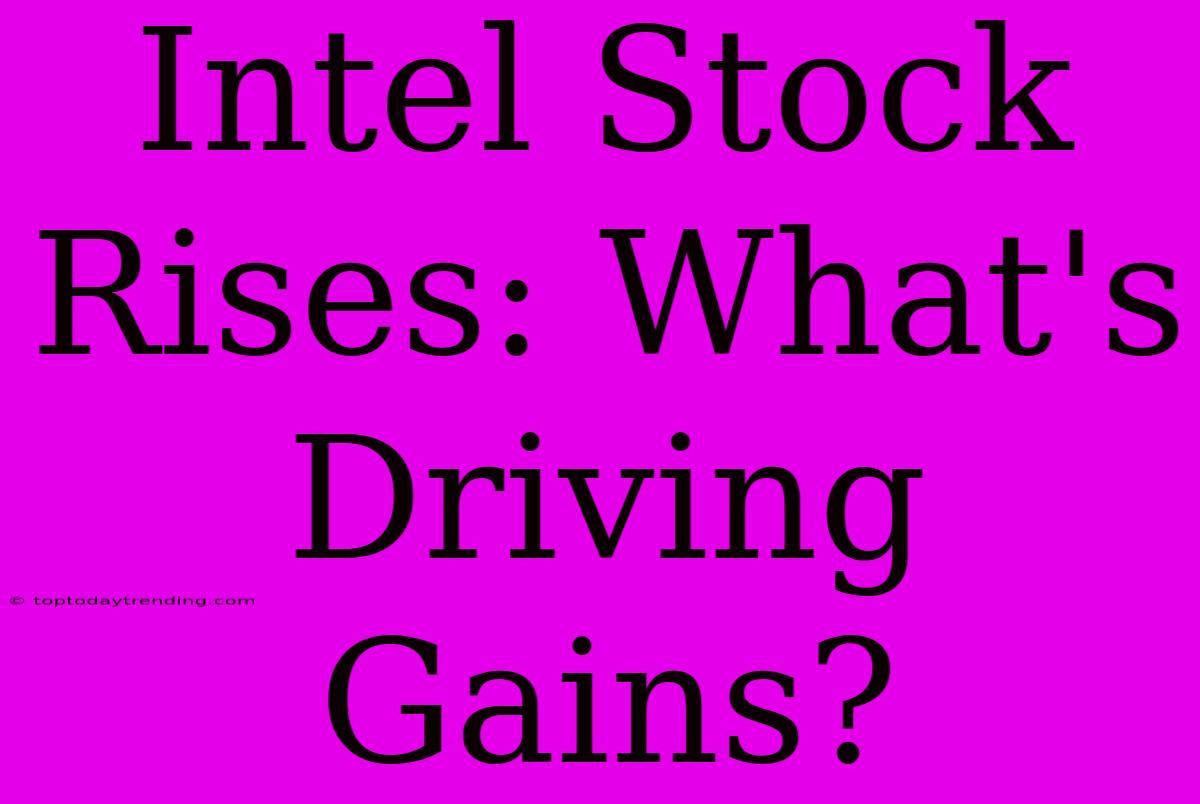 Intel Stock Rises: What's Driving Gains?