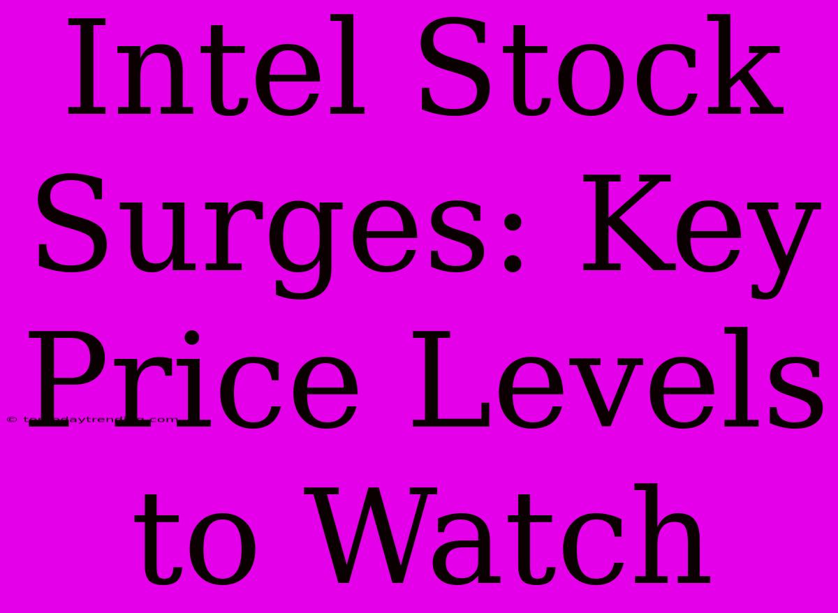 Intel Stock Surges: Key Price Levels To Watch