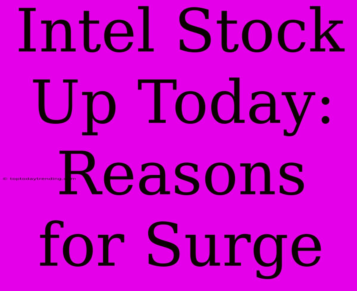 Intel Stock Up Today: Reasons For Surge