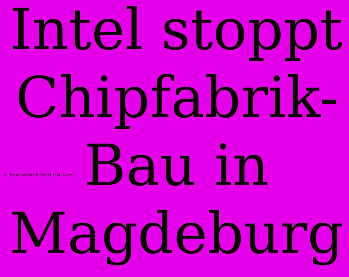 Intel Stoppt Chipfabrik-Bau In Magdeburg