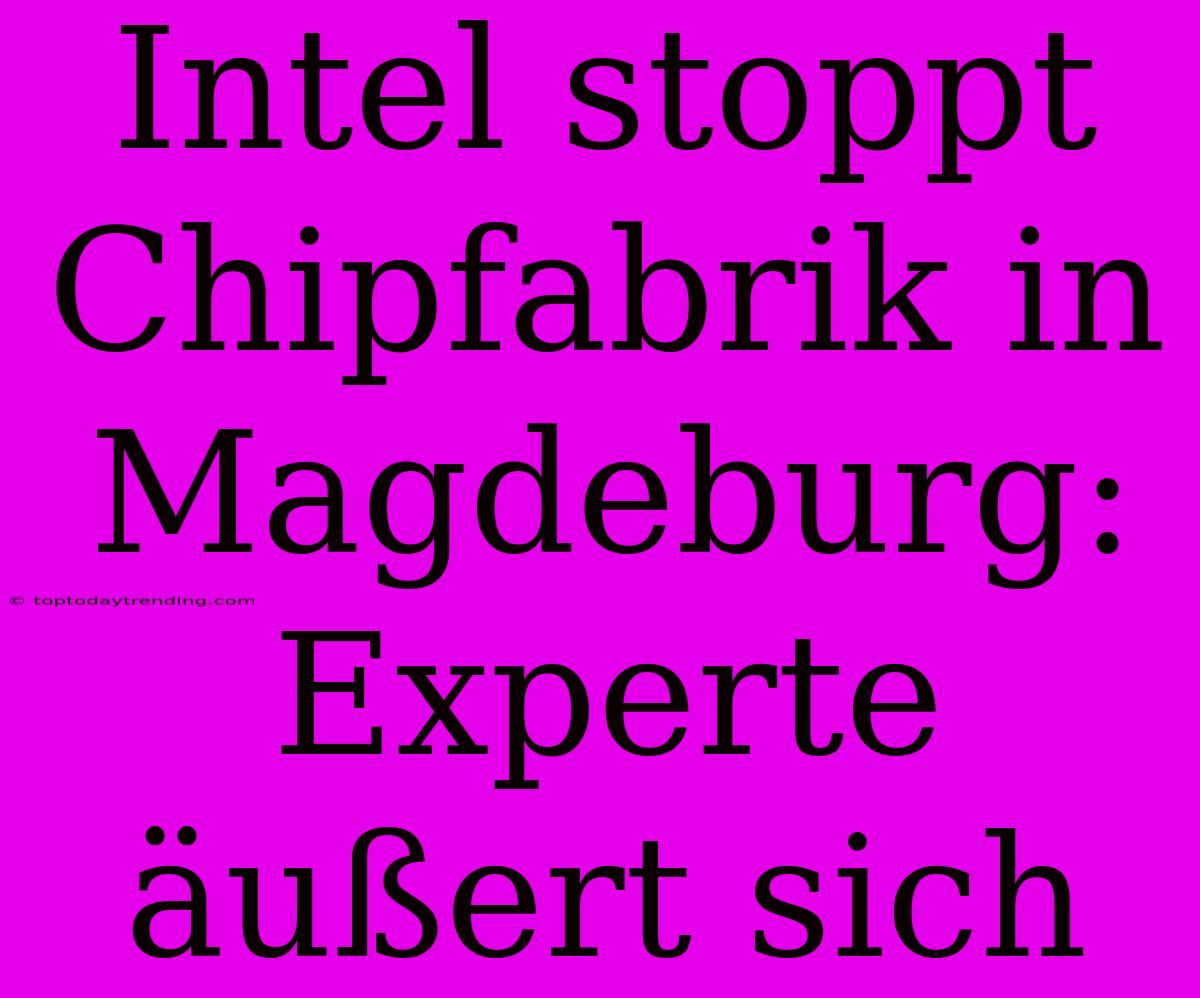 Intel Stoppt Chipfabrik In Magdeburg: Experte Äußert Sich