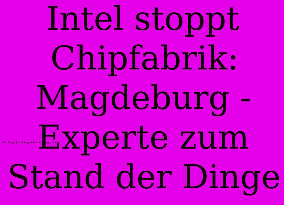 Intel Stoppt Chipfabrik: Magdeburg - Experte Zum Stand Der Dinge