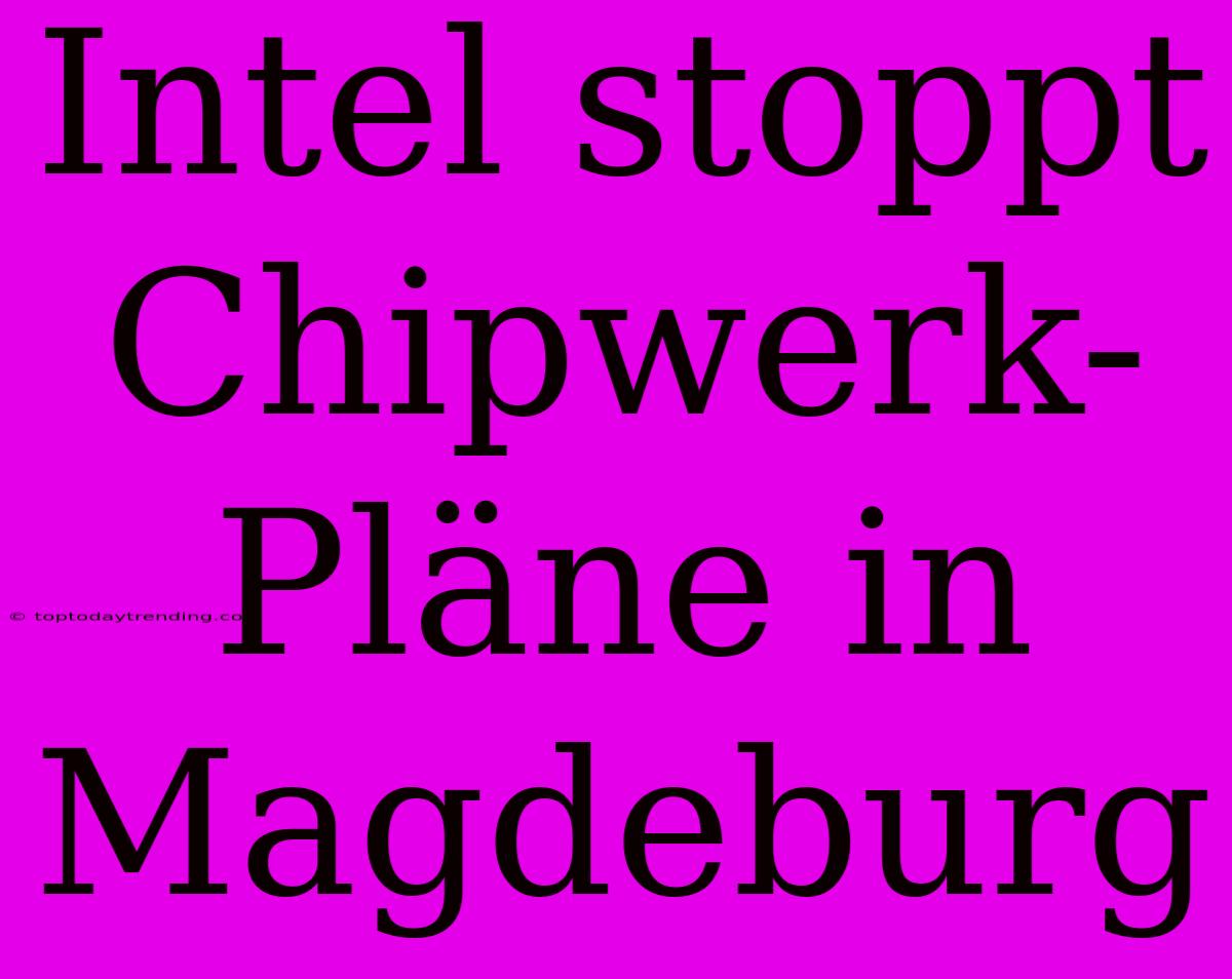 Intel Stoppt Chipwerk-Pläne In Magdeburg