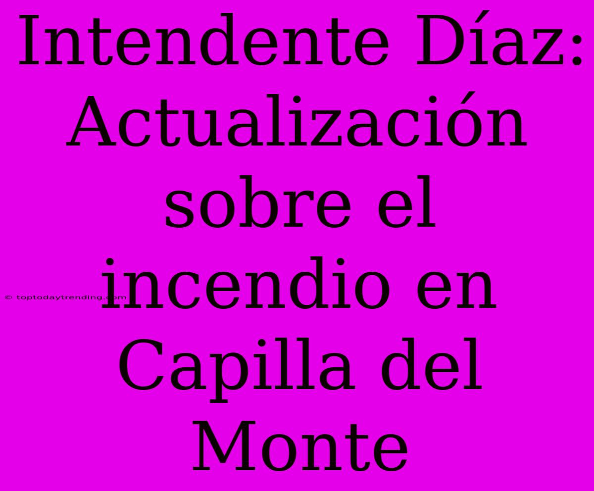 Intendente Díaz: Actualización Sobre El Incendio En Capilla Del Monte