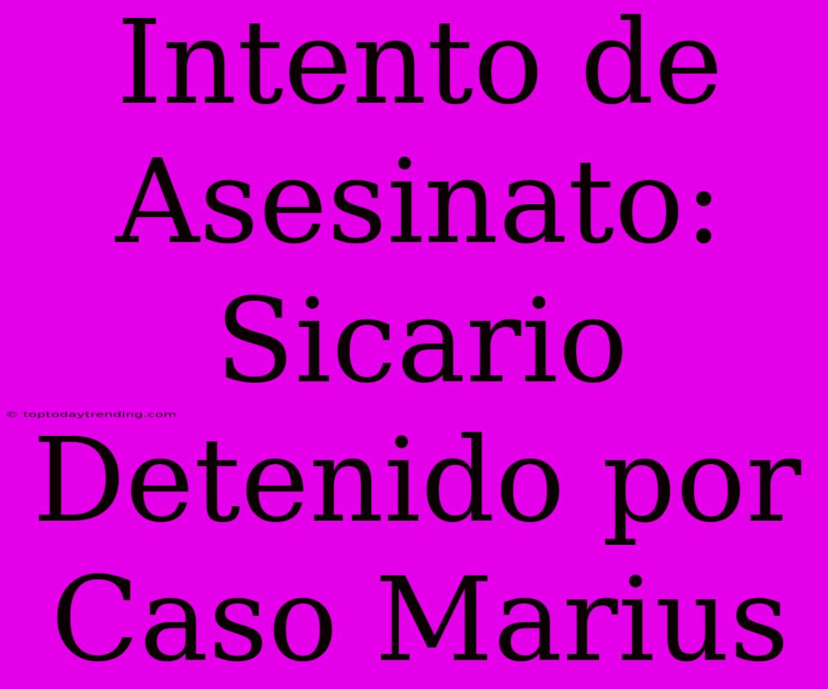 Intento De Asesinato: Sicario Detenido Por Caso Marius