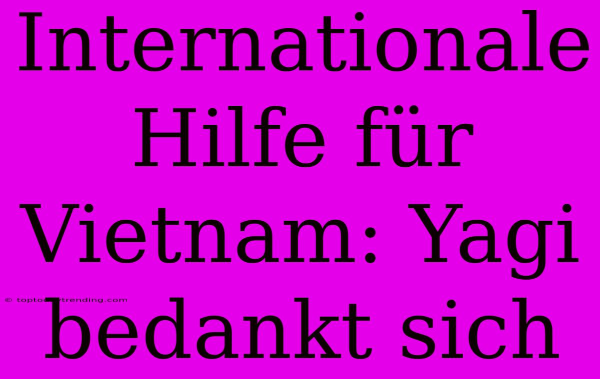 Internationale Hilfe Für Vietnam: Yagi Bedankt Sich