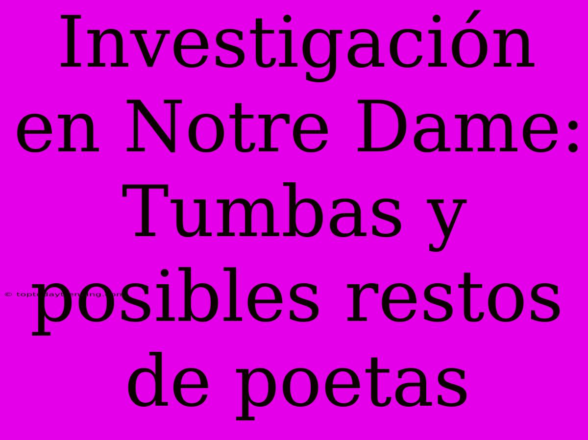 Investigación En Notre Dame: Tumbas Y Posibles Restos De Poetas