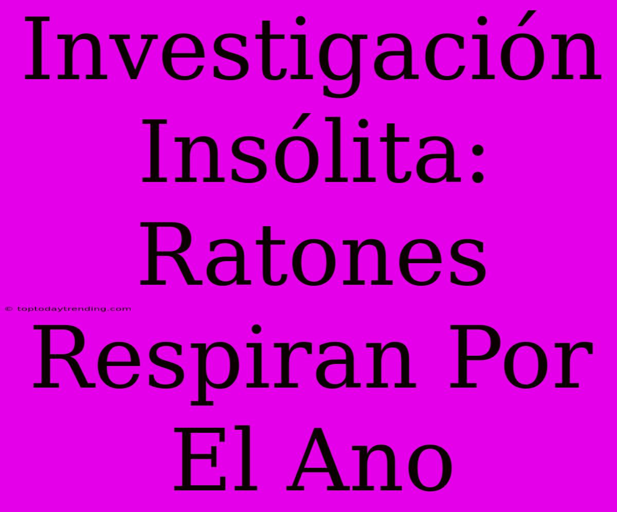 Investigación Insólita: Ratones Respiran Por El Ano